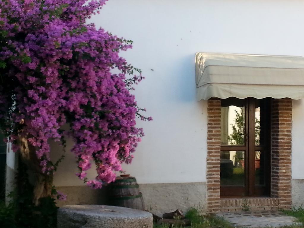 Agriturismo Malena Amica Экстерьер фото